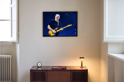 David Gilmour