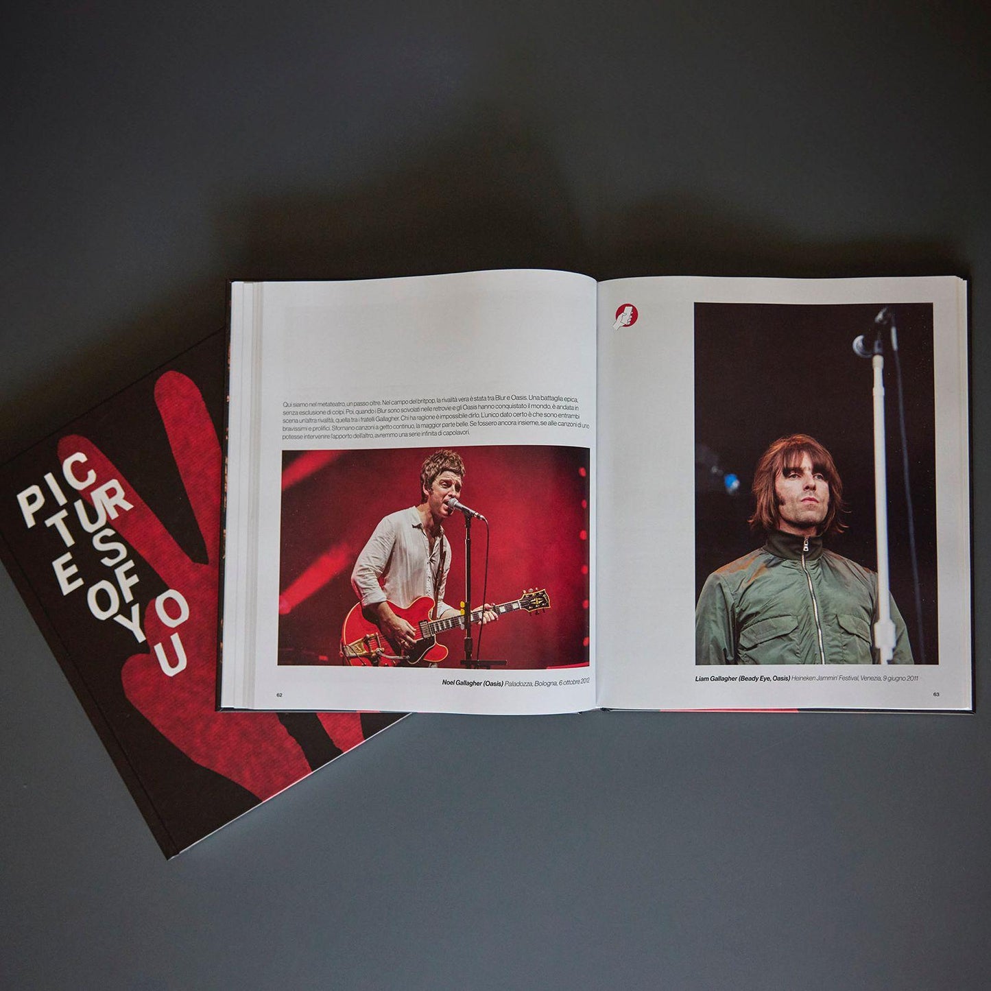 Libro "Pictures of You"