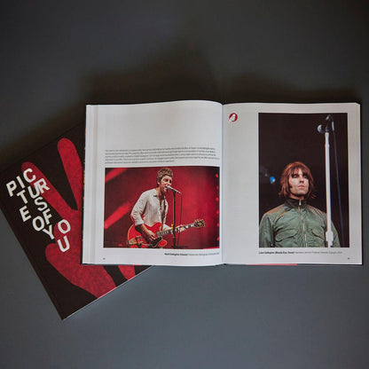 Libro "Pictures of You"