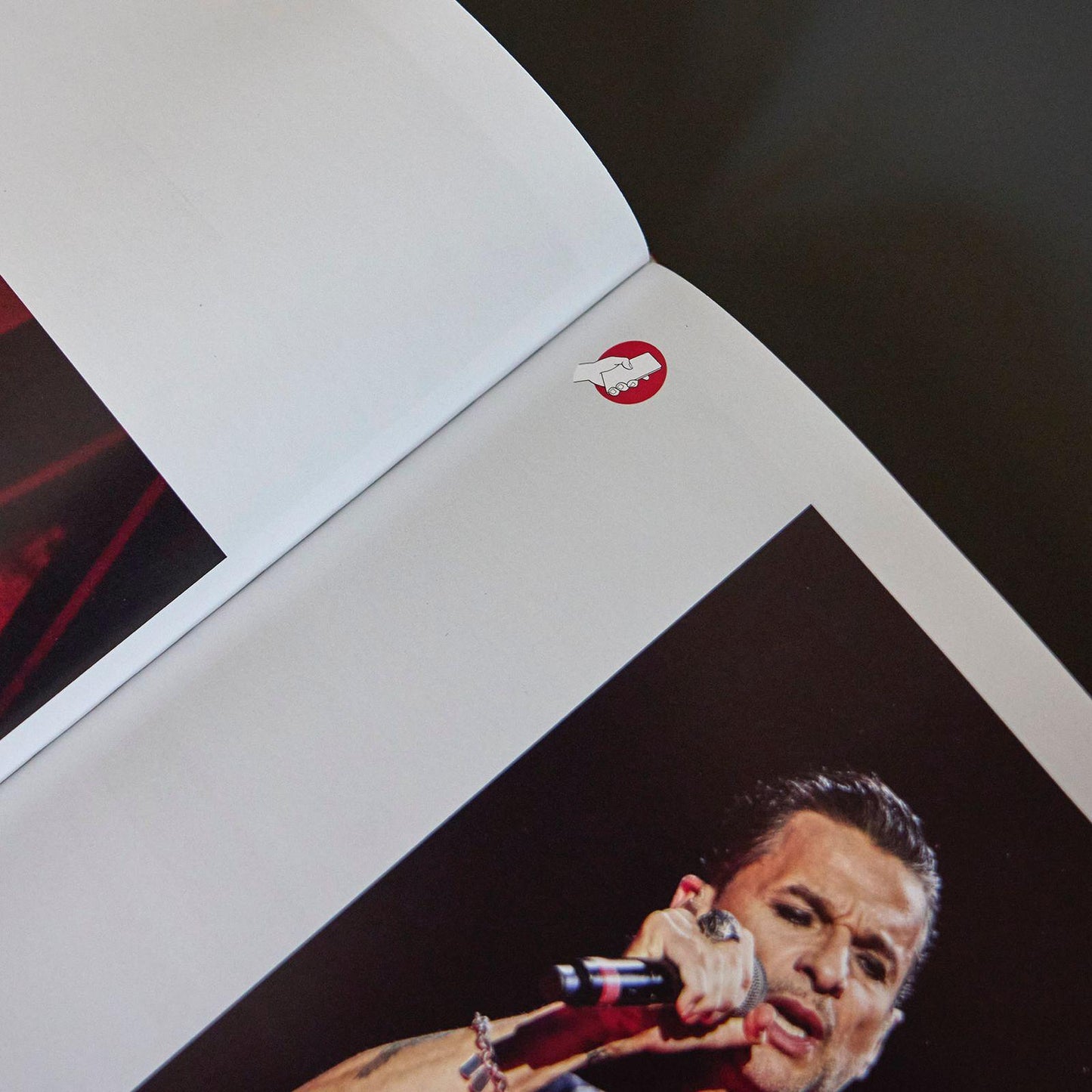 Libro "Pictures of You"